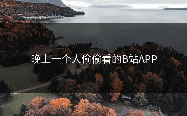 晚上一个人偷偷看的B站APP 晚上一个人偷偷看的B站APP
